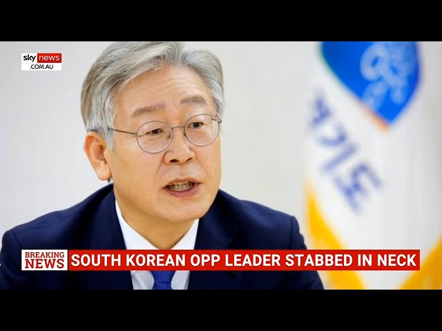 South Korea’s Opposition Leader stabbed in the neck