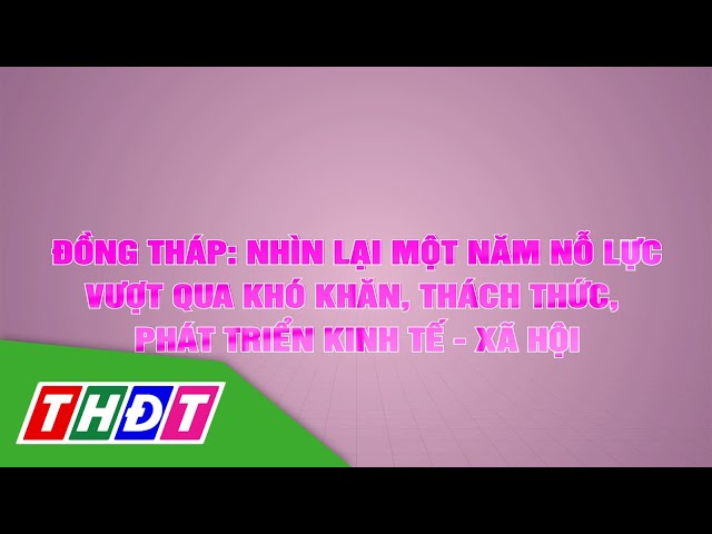 Đồng Tháp: Nhìn lại một năm nỗ lực vượt qua khó khăn, thách thức, phát triển kinh tế xã hội | THDT