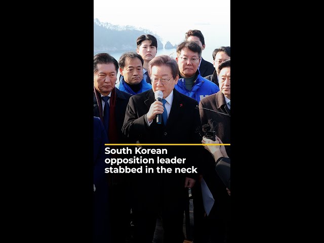 South Korean opposition leader stabbed in the neck | AJ #shorts