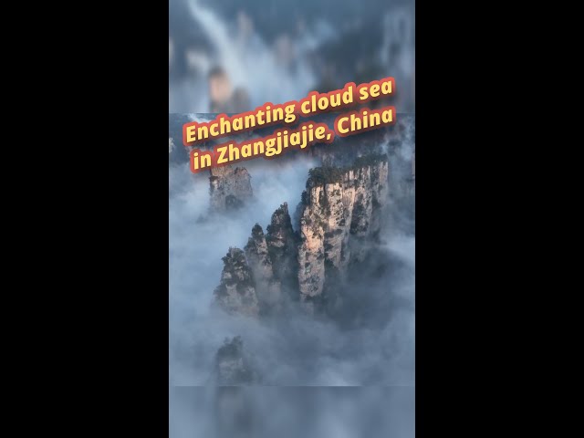 Enchanting cloud sea in Zhangjiajie, China