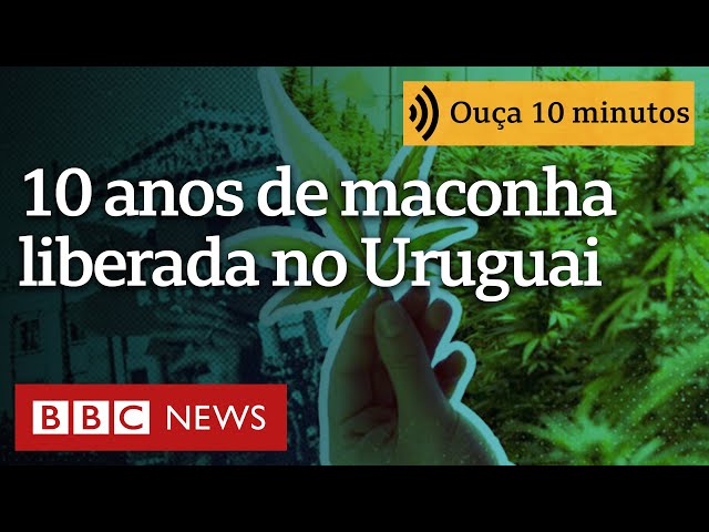 10 números que mostram o que mudou no Uruguai 10 anos após legalização da maconha