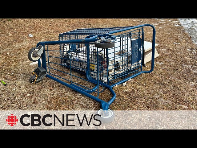 Should retailers be fined for stray shopping carts?