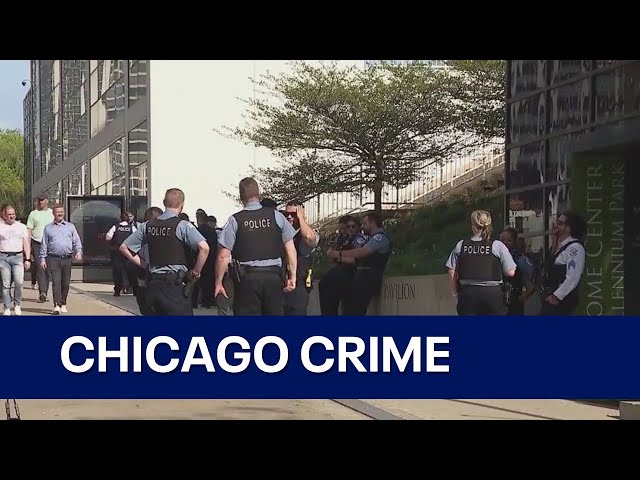 Chicago shootings, murders decreased in 2023, police say