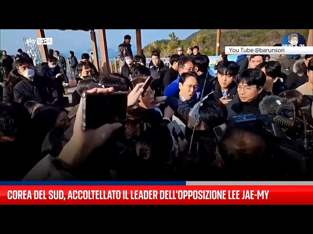 Corea del Sud, accoltellato leader dell'opposizione