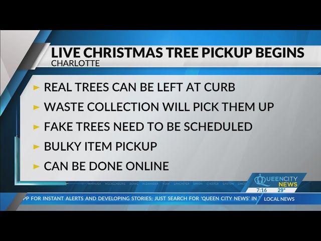 Curbside Christmas tree pick begins in Charlotte