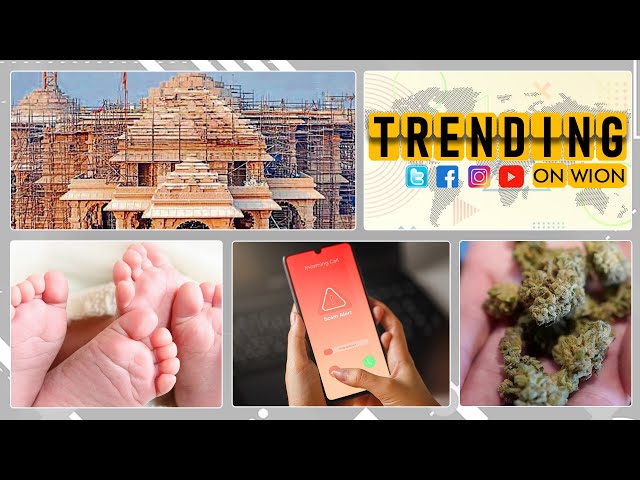 Criminals loot devotees in Ram Temple's name | Police crackdown on cannabis | Trending on WION