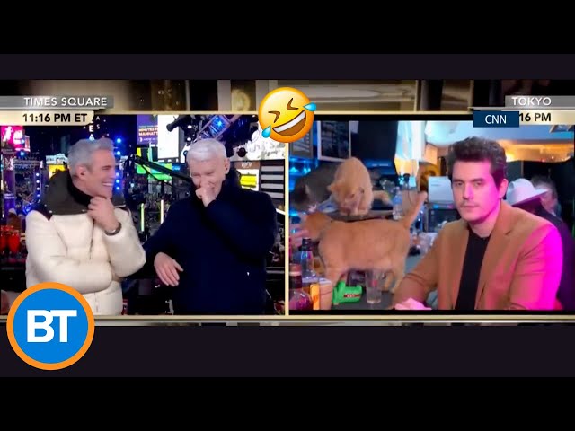 Anderson Cooper’s reaction to John Mayer at a cat cafe is HILARIOUS