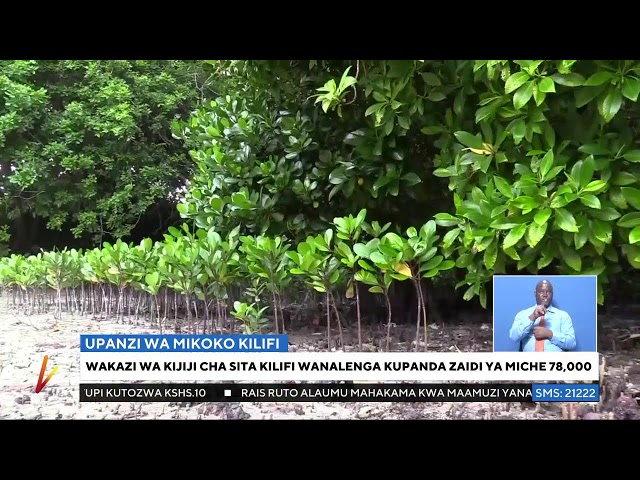 K24 TV LIVE | Taarifa kamili na za kuaminika katika #K24SaaMoja