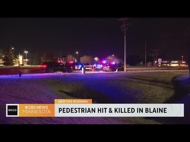 Motorists hits, kills pedestrian in Blaine