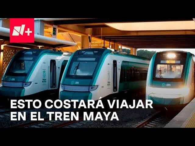 Precios del Tren Maya: ¿Cuánto costará viajar de Palenque a Cancún? - Despierta