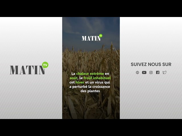 Stress hydrique : Le monde agricole en pleine détresse !