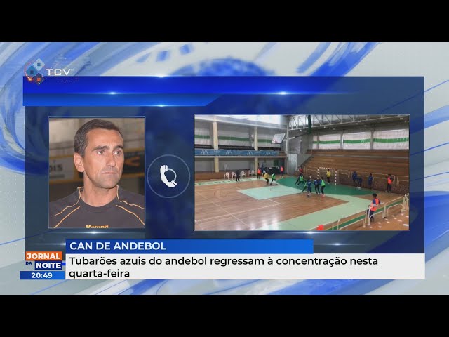 Tubarões azuis do andebol regressam à concentração nesta quarta-feira