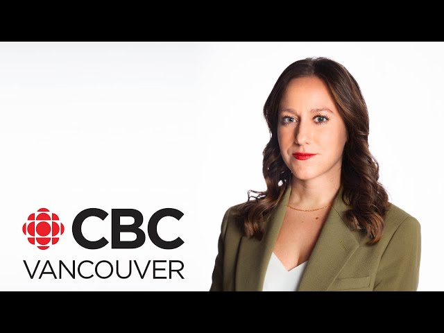 CBC Vancouver News at 6, Jan 02 -- Police investigate after server stolen from rape crisis centre