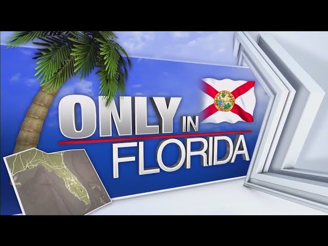 Special: Only in Florida