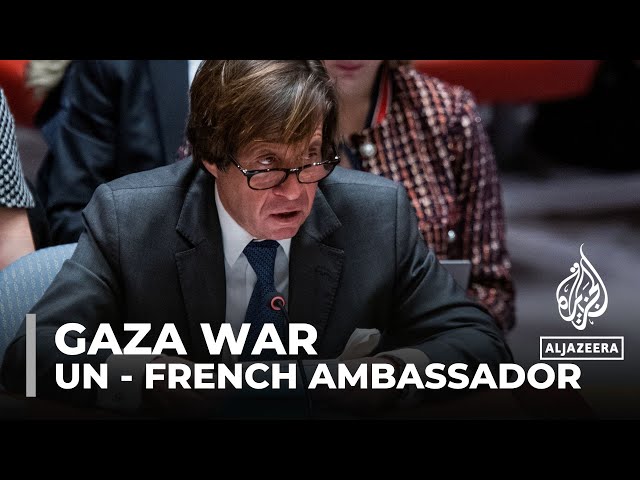 France escalation fears: French ambassador to UN expresses concerns