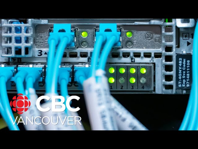 Cybersecurity experts concerned after server stolen from Vancouver rape crisis centre