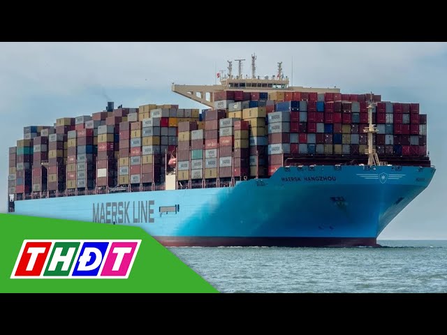Maersk tạm dừng hoạt động vận tải qua Biển Đỏ | THDT