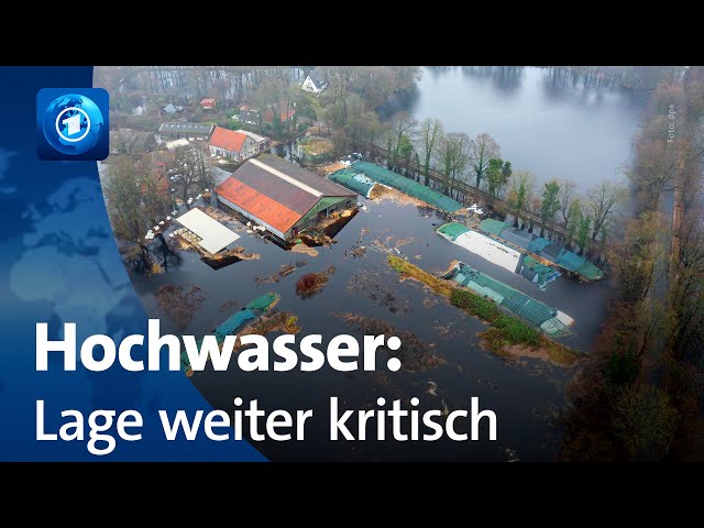 ⁣Hochwasser in Deutschland: Keine Entspannung durch Dauerregen