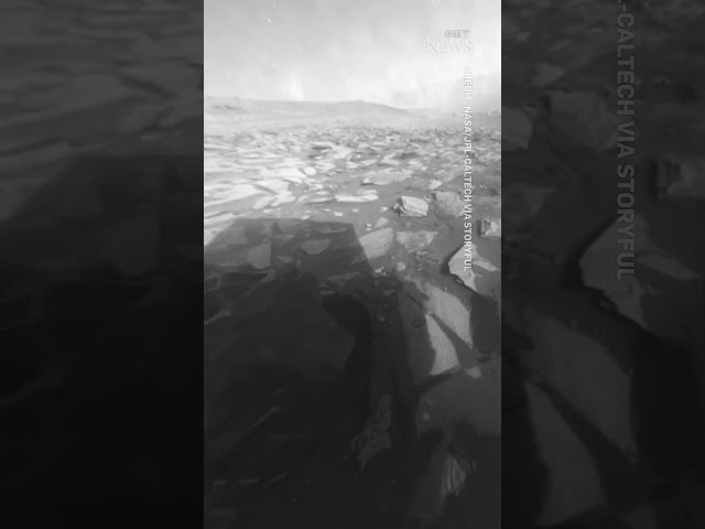 New view of Mars | Video from NASA rover shows 'Martian day' #shorts