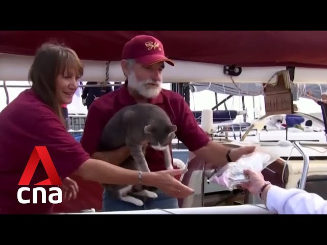 Oli the cat completes Sydney-Hobart yacht race