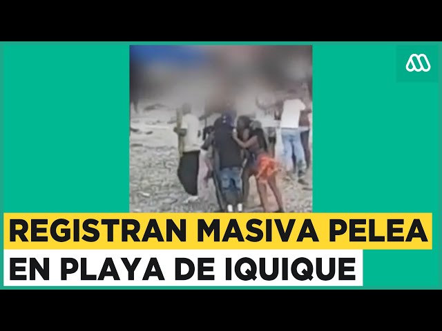 Masiva riña en playa de Iquique: Bañistas captan fuertes agresiones