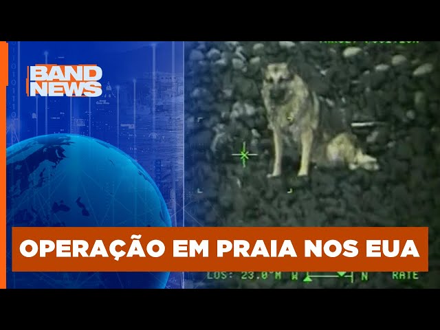 Guarda costeira resgata cachorro que caiu de penhasco | BandNews TV