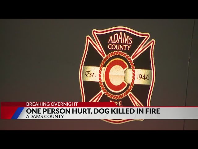 Burglar allegedly starts fire that killed dog in Adams County home