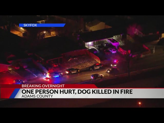 1 person injured, dog killed in Adams County house fire