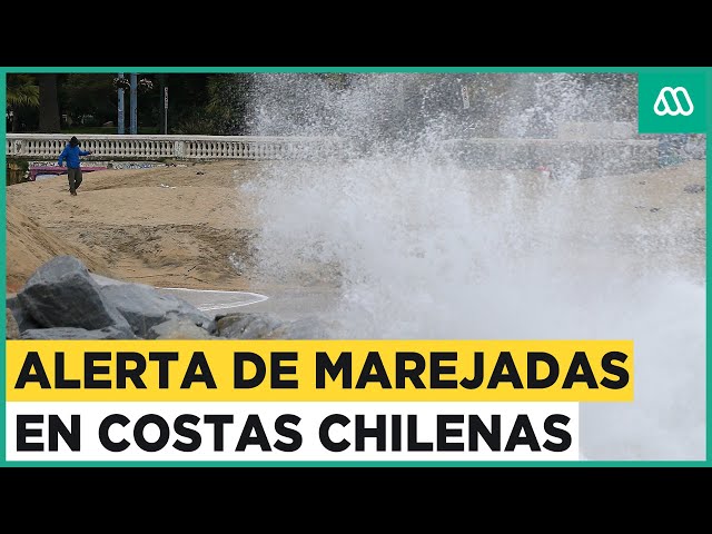 Alerta de marejadas: Olas podrían impactar desde Arica hasta el Maule