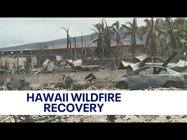 Hawaii wildfire recovery continues