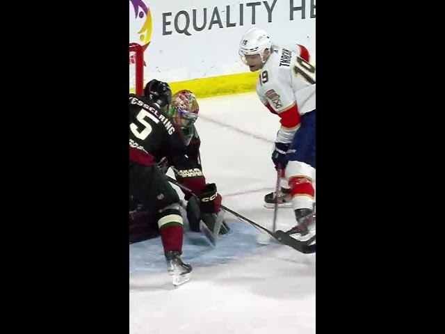 Coyotes Own Goal 