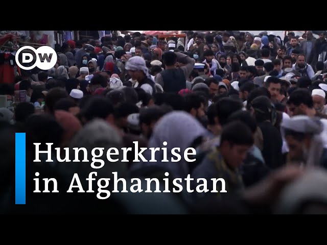 Afghanistan: Millionen Menschen sind von Hunger und Kälte bedroht  | DW Nachrichten