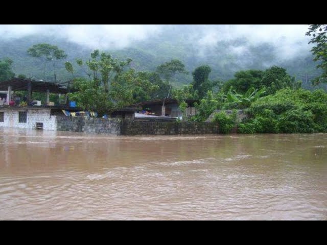 Tingo María: Pobladores afectados y asustados por el desborde del río Huallaga