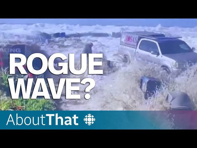 Did a rogue wave actually hit California? | About That