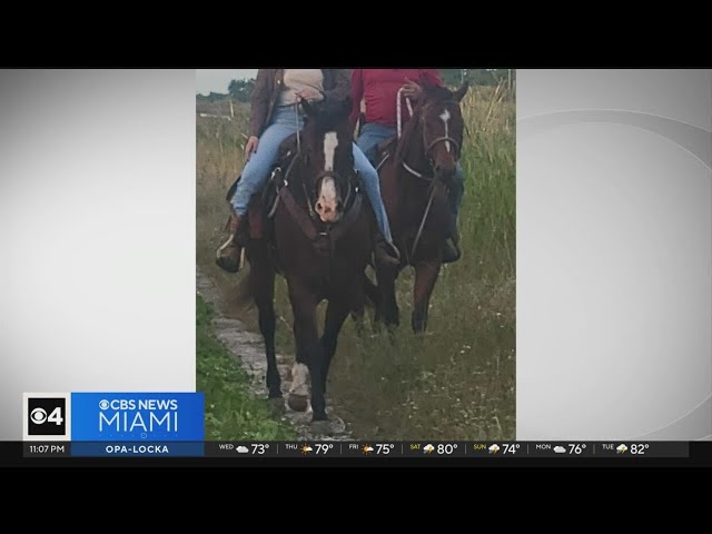 2 horses stolen, slaughtered in Miami-Dade