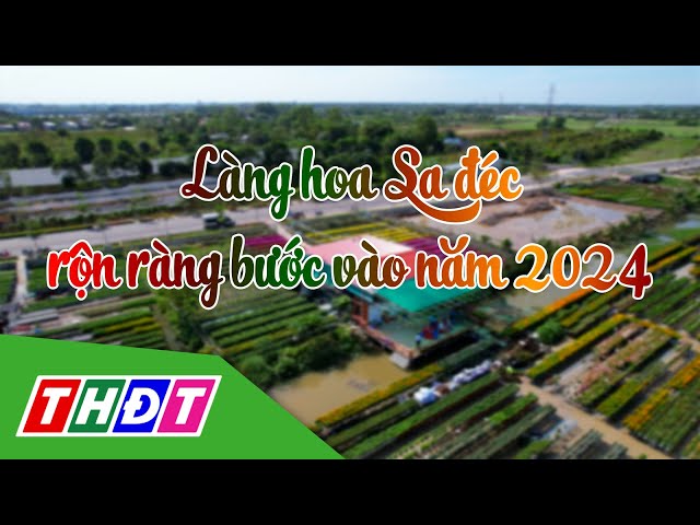 Làng hoa Sa Đéc rộn ràng bước vào năm 2024 | Lửa làng nghề - 3/1/2024 | THDT