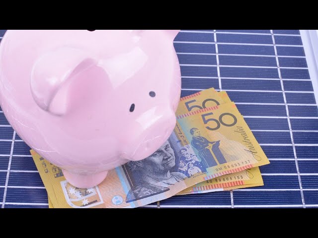 ‘Way too much solar’ encouraged by government subsidies: Matt Canavan