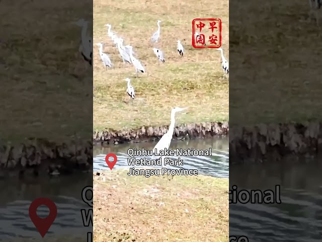 View of Qinhu Lake in China's Jiangsu