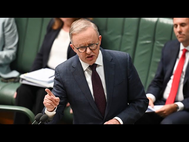 Anthony Albanese ‘misled’ parliament and Australians over Qatar Airways issue