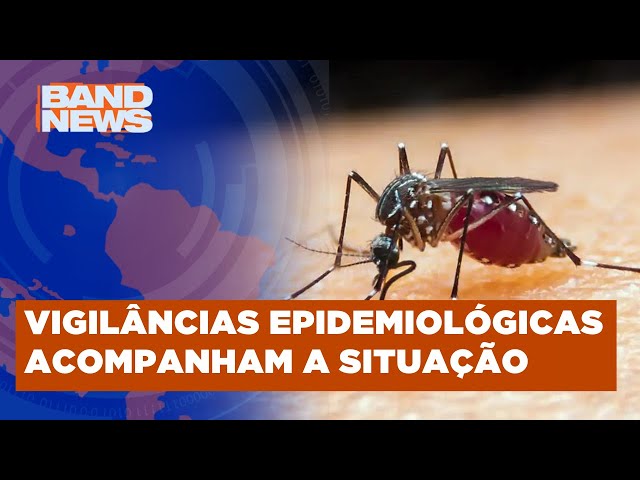 Estado de São Paulo registra dois casos de infecção por malária | BandNews TV