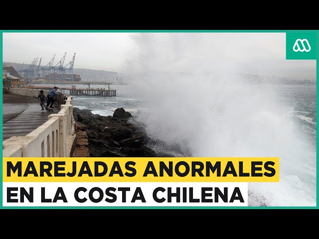 Intensas olas en la costa: ¿A qué sectores de Chile llegarán las marejadas?