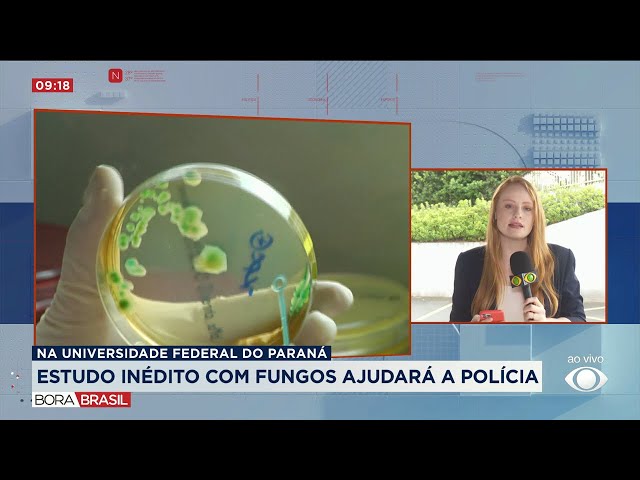 Estudo com fungos pode ajudar a solucionar crimes