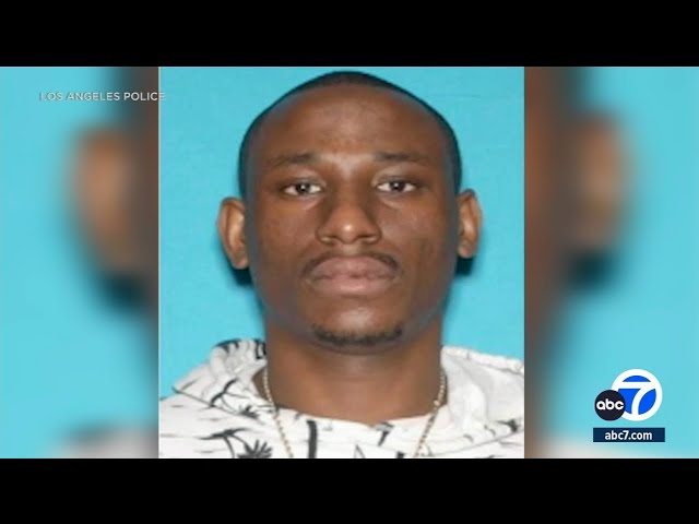 Man wanted for shooting, killing 4-month-old puppy: LAPD