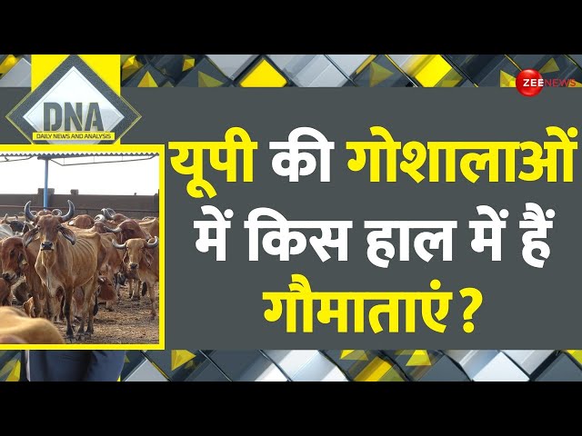 DNA: यूपी की गोशालाओं में किस हाल में हैं गौमाताएं? | Uttar Pradesh Gaushala | CM Yogi Adityanath