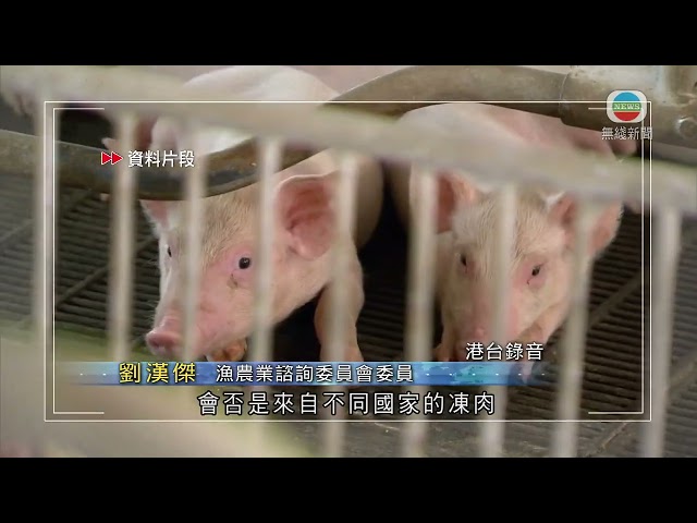 香港新聞｜無綫新聞｜05/01/24｜本港多個豬場近月先後爆發非洲豬瘟 業界促加強源頭堵截 | TVB News