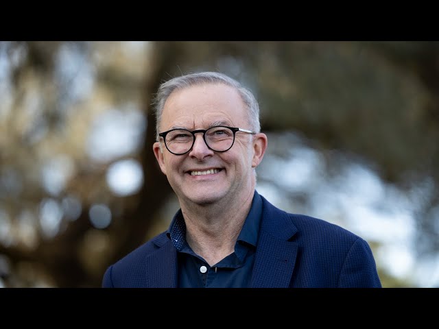 Anthony Albanese attends Pink Test in Sydney