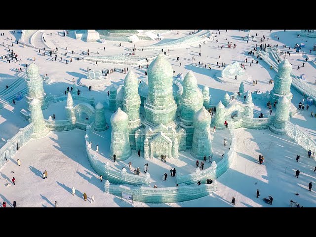 Live: Harbin International Ice and Snow Festival opens in NE China