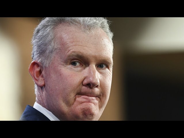 Tony Burke suggests comparisons can be drawn between Israel’s war on Hamas and Holocaust