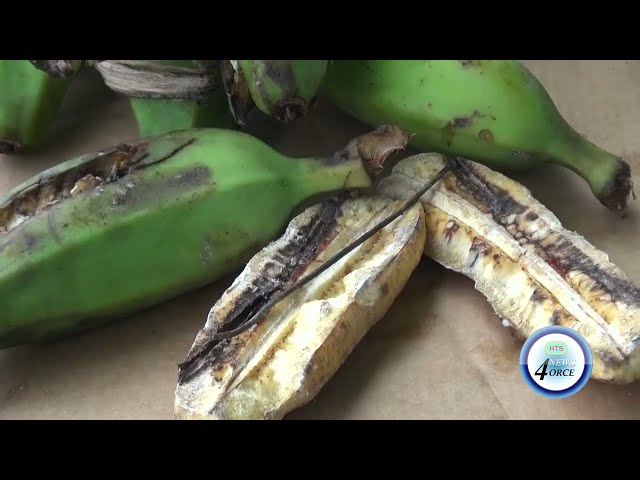 ⁣NEEDLES AND WIRES FOUND IN GIFTED BACKYARD MACABOO BANANAS