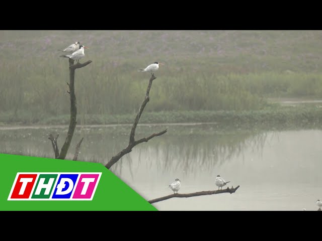 Peru - Nơi "đất lành chim đậu" | THDT